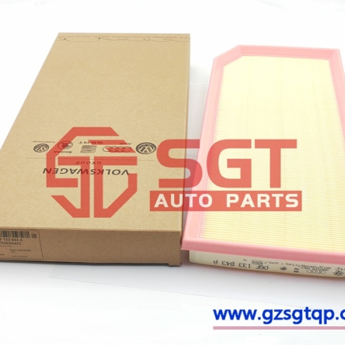 06F133843A/空气过滤器/Volkswagen 06F133843A Air Filter 06F 133 843 A - NEW